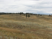 Prairie at Wind Cave NP